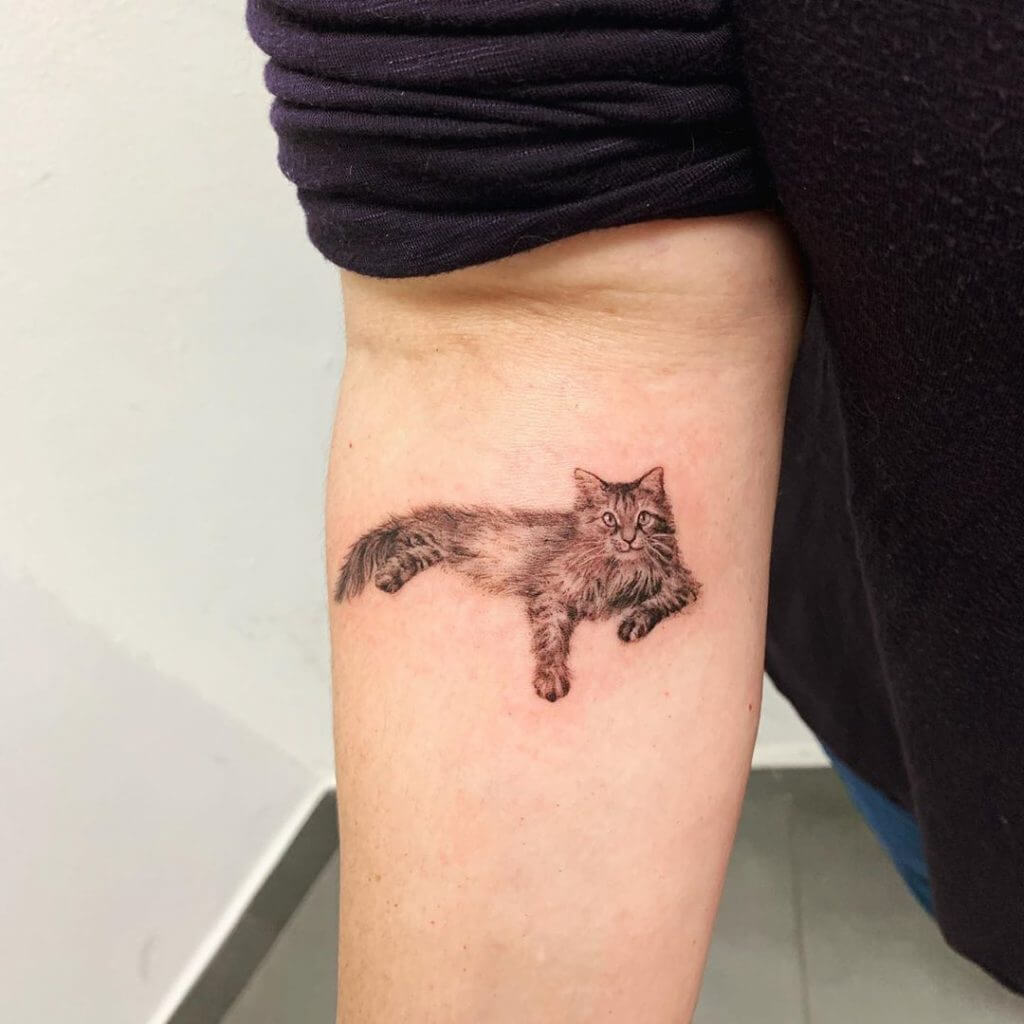 Dot work Forearm tattoo of a Persian cat