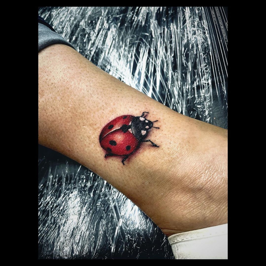 Ladybug Tattoos And Ladybug Tattoo MeaningsLadybug Tattoo Designs And Ladybug  Tattoo Ideas  HubPages