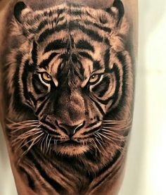 tiger tattoo - design, ideas and meaning - With Tattoo