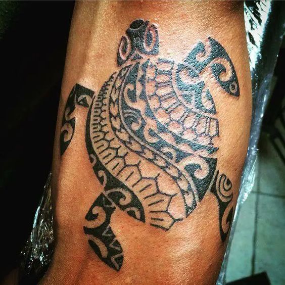 40 Cutest Turtle Tattoo Ideas  Latest Tattoo Designs