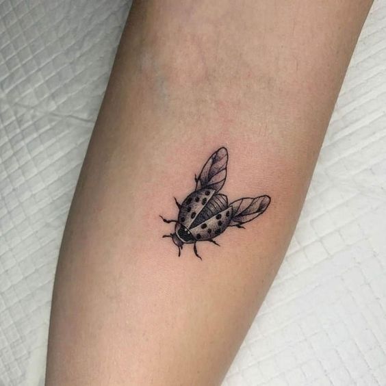 Ladybug tattoo 15 stylish ideas for fans of minimalism   Онлайн блог о  тату IdeasTattoo