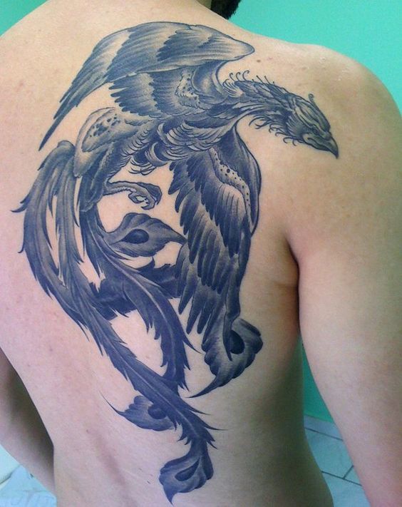 Black and white tattoo style of phoenix