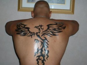 Its not surprising that tribal phoenix tattoo looks astonishing 5