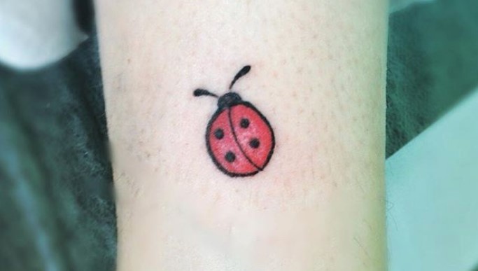 Tiny Fine Line Ladybug Tattoo done Thanks  DM to Book tattoo cute  tattoocute cutetattoo black blacktattoo ladybug fineline  Instagram