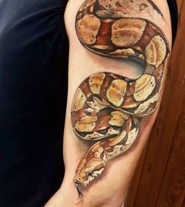 Kickass snake tattoo for men maybe an idea for your new tattoo 4