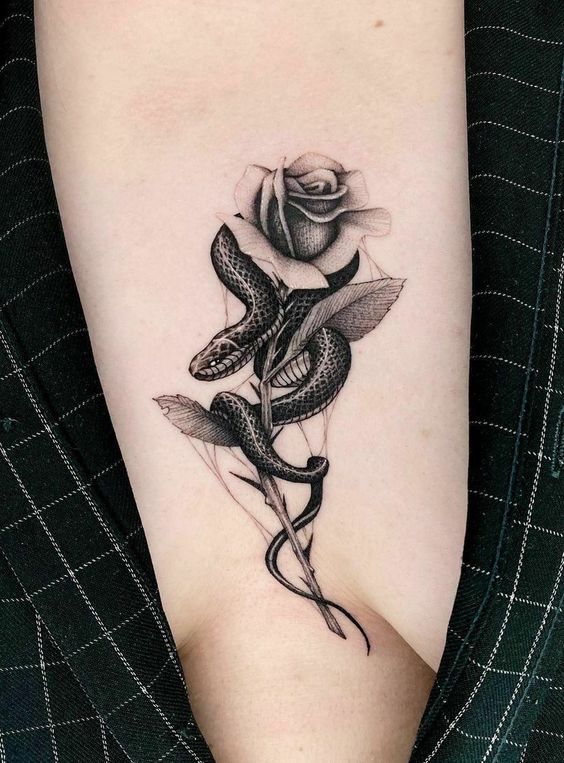Update 88 about snake and rose tattoo best  indaotaonec