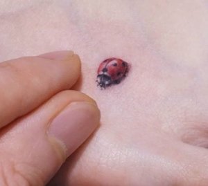 Small ladybug tattoo is cute and fascinating body decoration 2