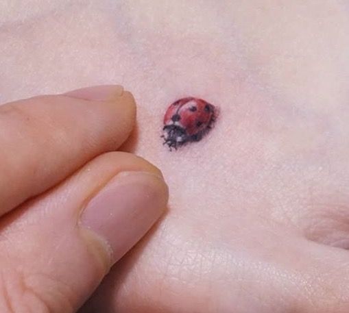 29 Phenomenal Ladybug Tattoos On Wrist  Tattoo Designs  TattoosBagcom