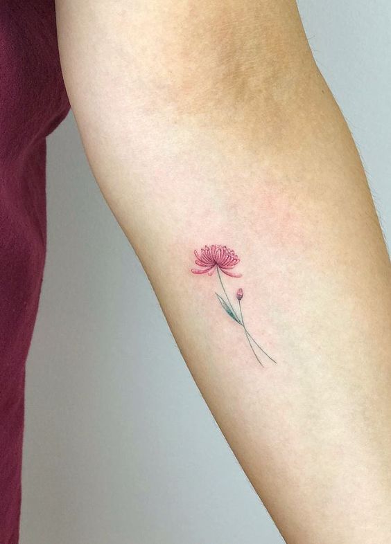 small minimalist chrysanthemum tattoos  Ecosia  Narcissus tattoo Small  tattoos Daffodil tattoo