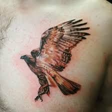 15 Mind blowing and wonderful hawk tattoo ideas for you 1