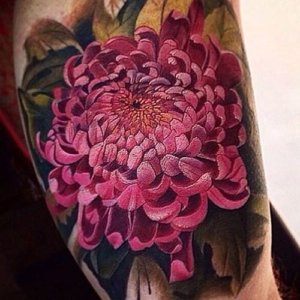20 Best chrysanthemum tattoo ideas 11