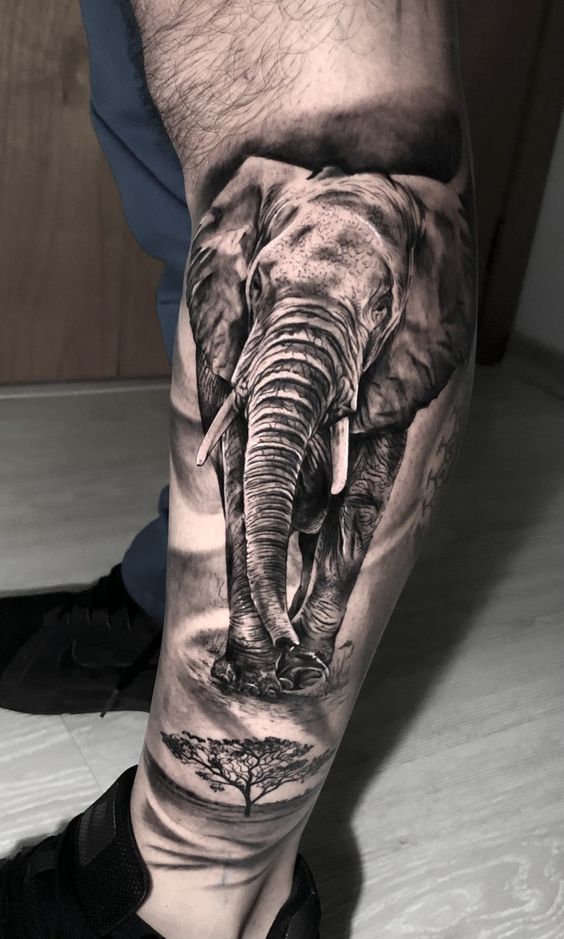 Elephant Tattoo A Lovely Design  Tattoo Ink Master