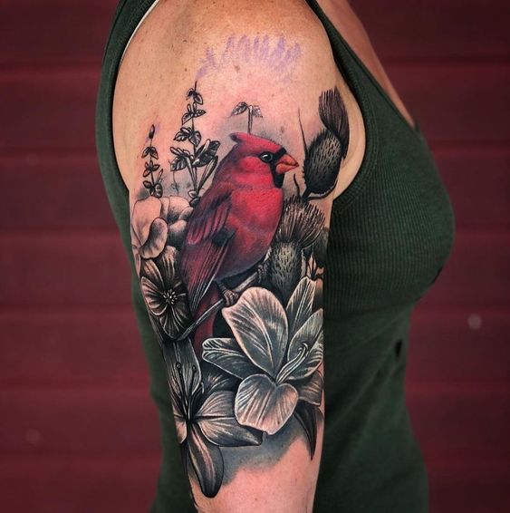 Shamrock Tattoos  Fine Art Gallery  Cardinal tattoo by josh  Facebook