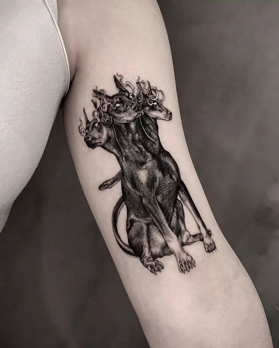 50 Cerberus Tattoo Designs For Men  Three Head Dog Ideas  Greek mythology  tattoos Mythology tattoos Hades tattoo