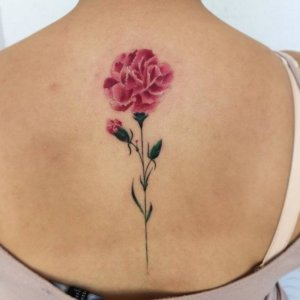 Express your love and heart filled with it by inking carnation tattoo 5