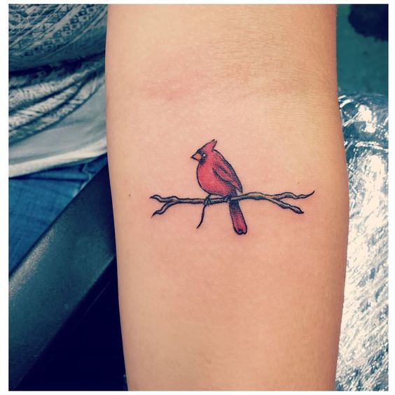 Realistic Cardinal tattoo on the inner forearm Done by Bruce Riehl at  Bulldog Custom Tattooing in East   Cardinal tattoos Red bird tattoos  Red cardinal tattoos