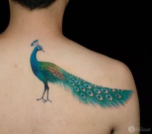 Here are 20 the sweetest peacock tattoo designs 13