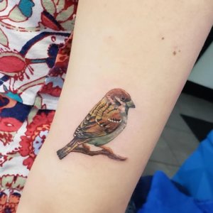 Sparrows are around 14 cm long so are ideal tattoo idea 5