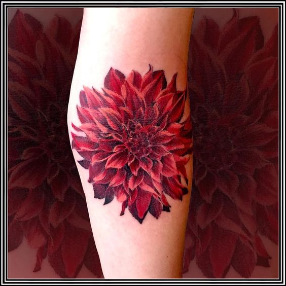 watercolor dahlia tattoo  Google Search  Watercolor flowers Floral  watercolor Flower drawing