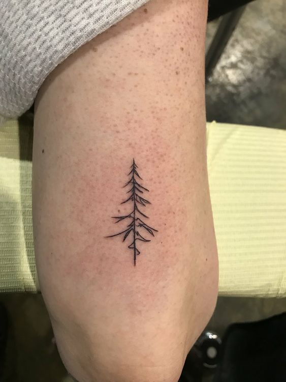 9 Pine Tree Silhouettes  Simple tree tattoo Tree tattoo Tree tattoo men