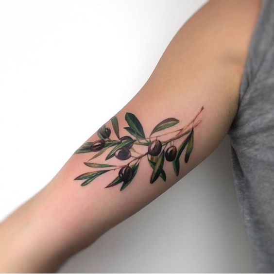 Arm is fantastic place for delicate olive branch. See why on these examples