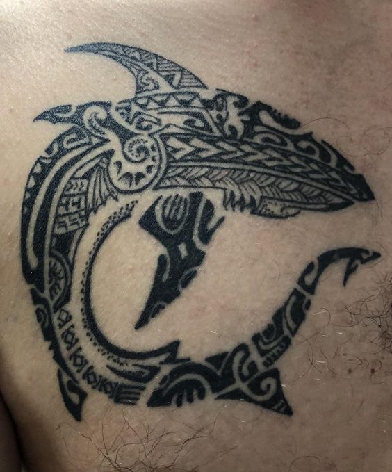 Check these 10 awesome tribal shark tattoos