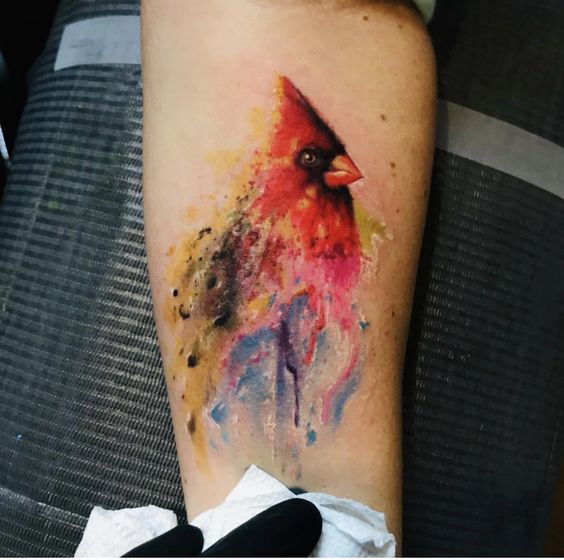 Tattoo uploaded by Holly  watercolor cardinal I want this  Tattoodo