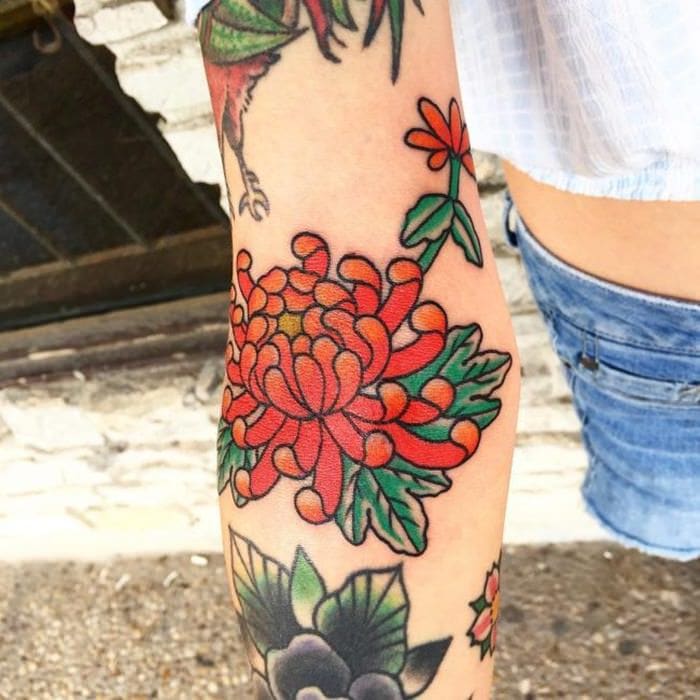 Pin by Hori Danzo on 传统配图  Japanese flower tattoo Japanese tattoo art  Chrysanthemum