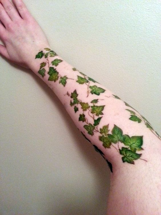 Ivy tattoo is interesting idea for men