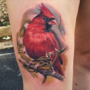 Realistic cardinal tattoo can be so magical 2