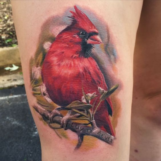 Realistic cardinal tattoo can be so magical