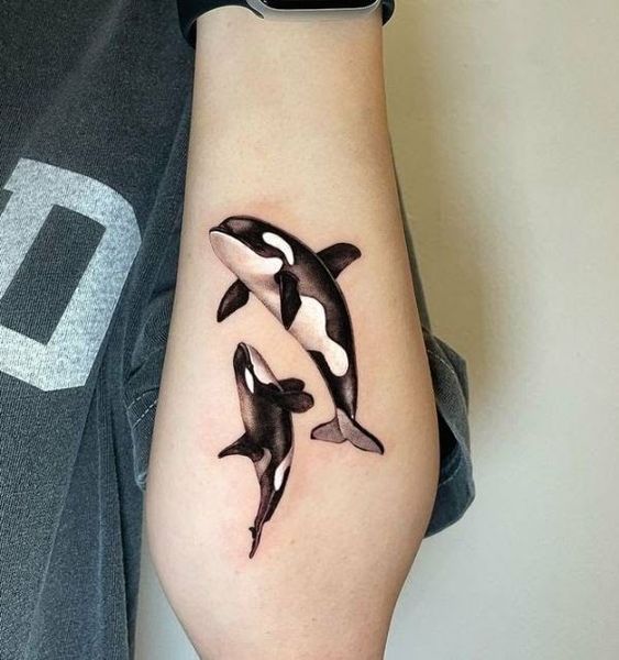Microrealistic style orca whale tattooed on the upper
