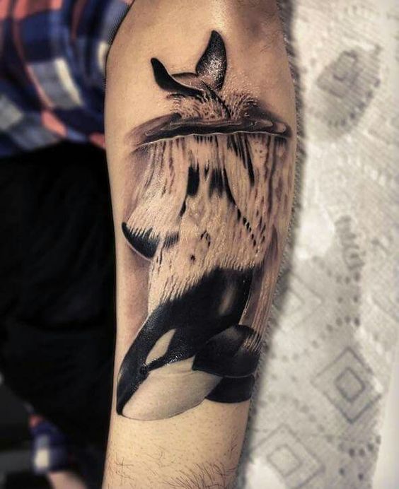 Killer Whale Tattoo Photographic Prints for Sale  Redbubble
