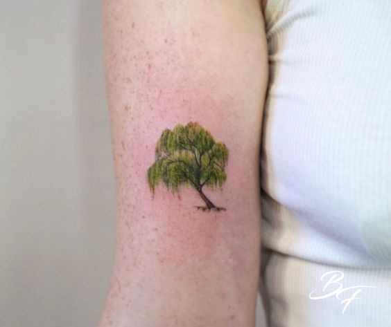 Weeping willow tattoo on the left inner forearm