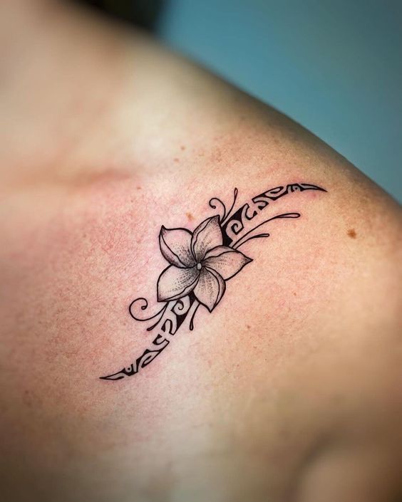 My Story  Plumeria tattoo Hawaiian flower tattoos Tattoos