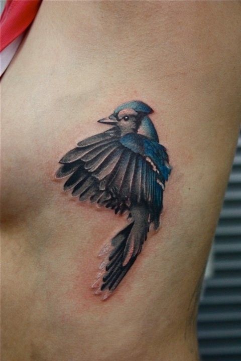 Realistic color blue jay tattoo by Evan Olin  Tattoos