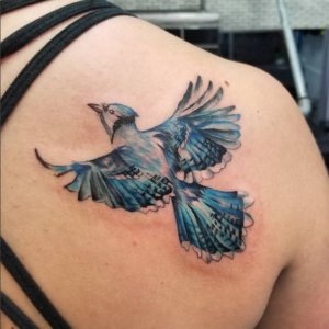 In our opinion these 10 blue jay tattoos are the best 6