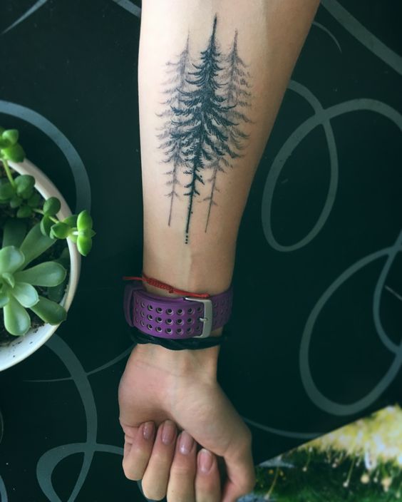 20 Stunning Pine Tree Tattoo Ideas for Men  Women in 2023