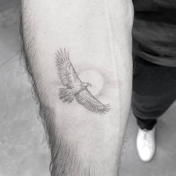 Osprey hawk tattoo  Hawk tattoo Tattoos Small tattoos