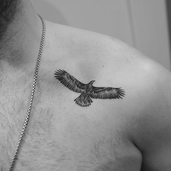 Osprey hawk tattoo  Tattoos Hawk tattoo Small tattoos