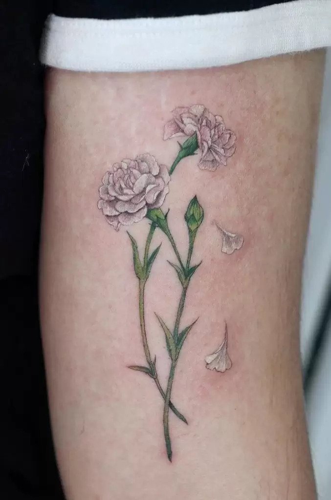 Beautiful Carnation Tattoo Ideas  Their Meaning  Tattoo Glee