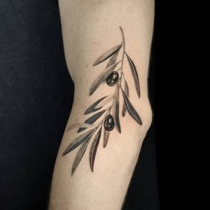 Meaning of olive branch tattoos 2