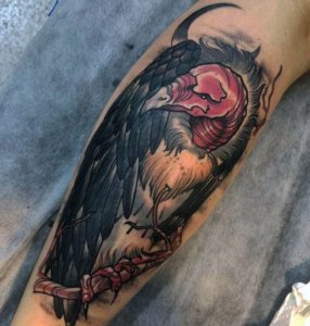 15 Best vulture tattoos carefully chosen just for you 3