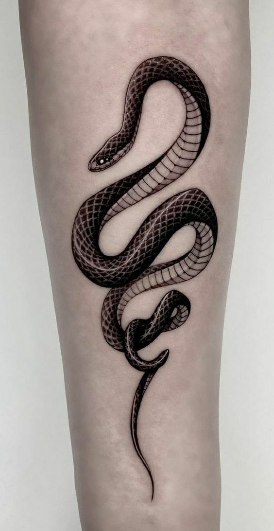 Top 73 black mamba snake tattoo best  thtantai2