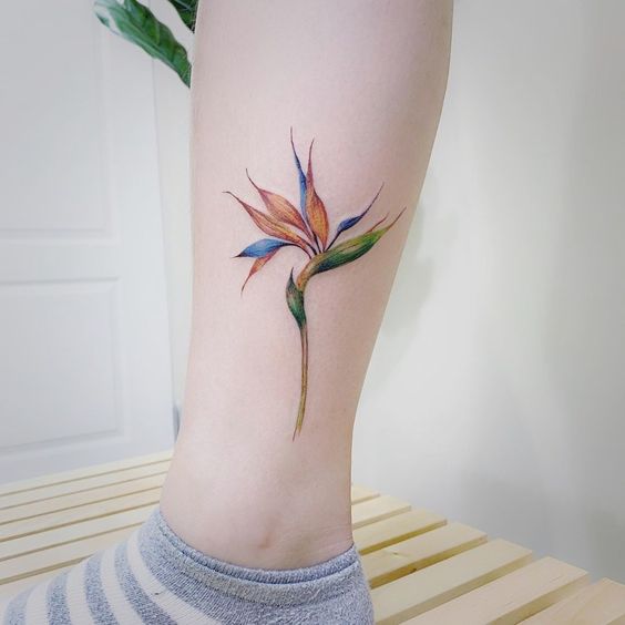 Bird of paradise is extraordinary tattoo you should consider
