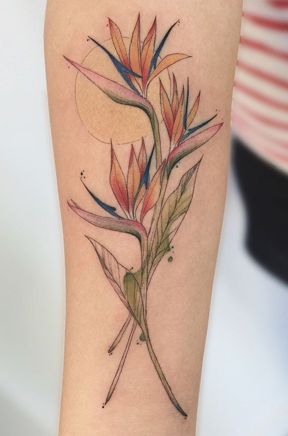 Buy Papua New Guinea Bird of Paradise Tattoo Poster Online in India  Etsy