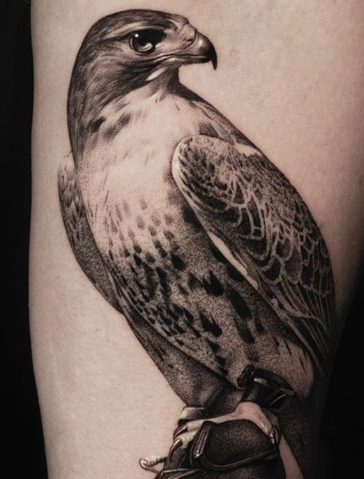 Hawk tattoo meaning 2