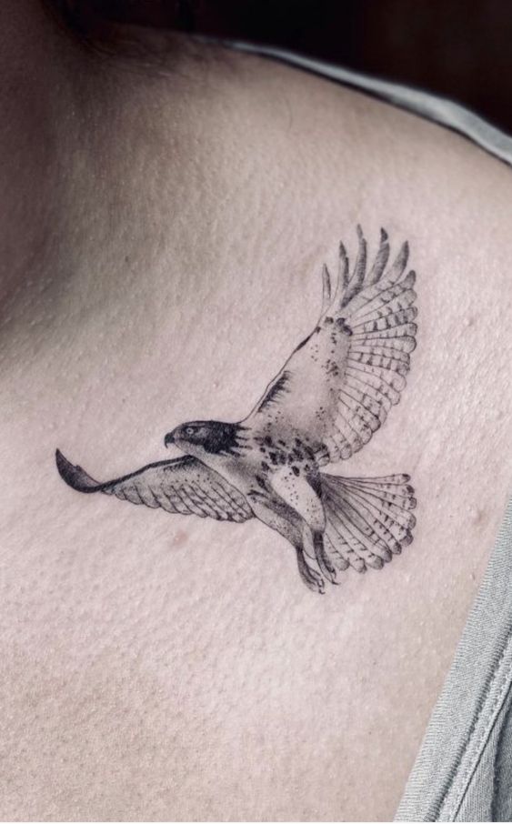Hawk tattoo meaning 5