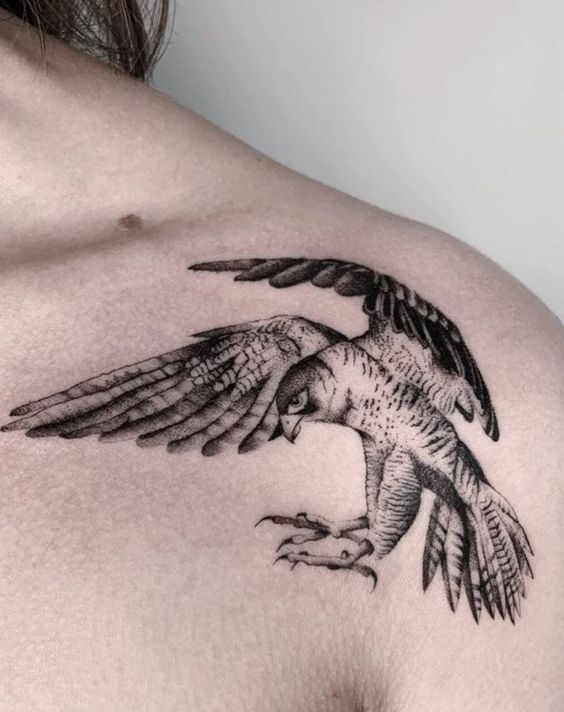 Hawk tattoo meaning 6