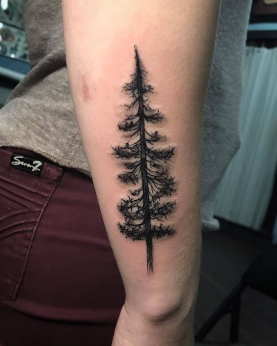 meaning-of-pine-tree-tattoo-and-some-examples